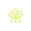 pollinations